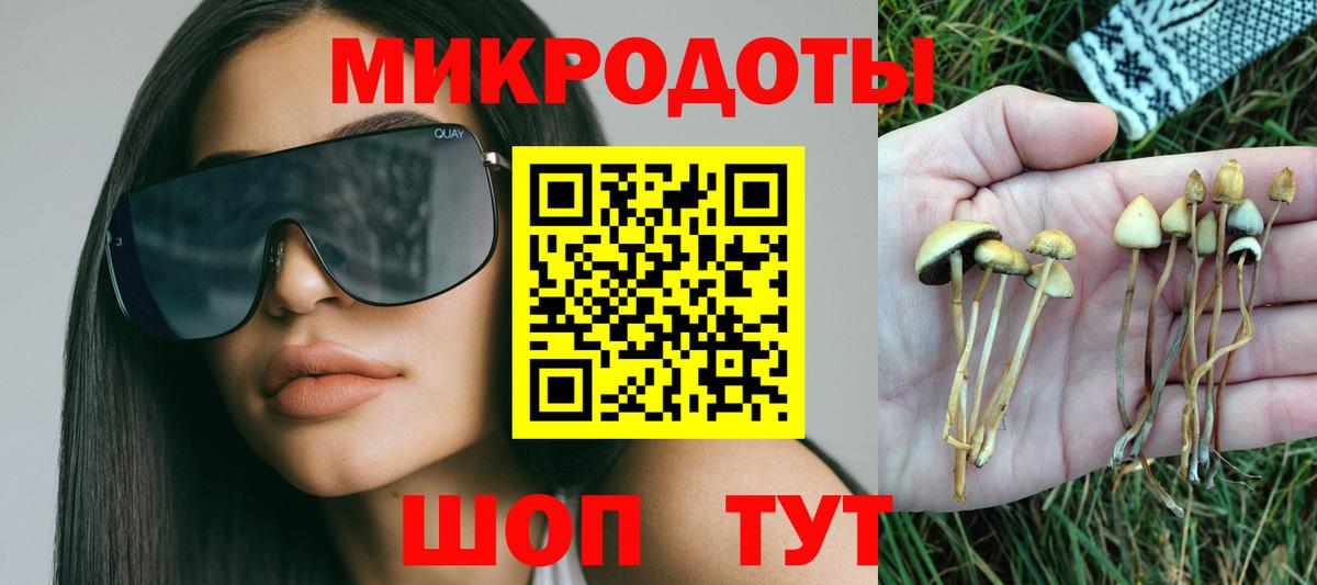 Острогожск  Галлюциногенные грибы прущие грибы  Вход с VPN 